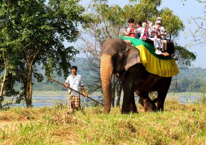 habarana safari