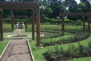 victoria park sri lanka nuwara eliya tour