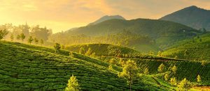 Nuwara Eliya Sri Lanka