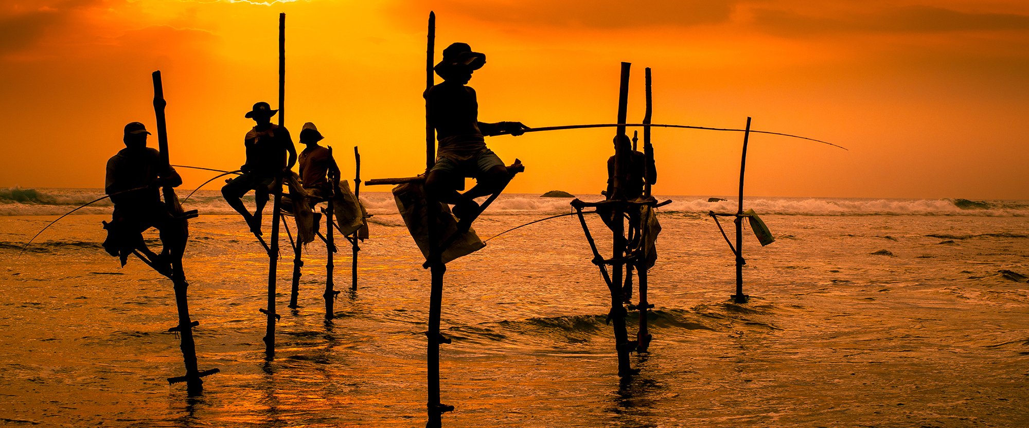 Fishing Industry in Sri Lanka Jaffna Galle Negombo Fish Market