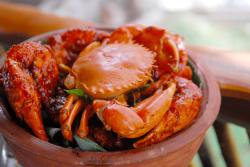 seafood RESTAURANTS Colombo trincomalee unawatuna mirissa