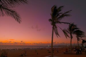 Beach tour