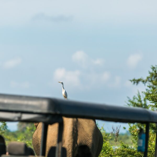 kumana sri lanka