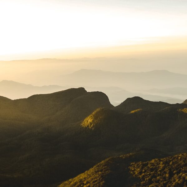 mountains with srilankan riders
