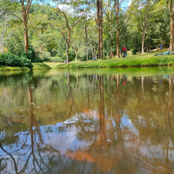Botanical Gardens
