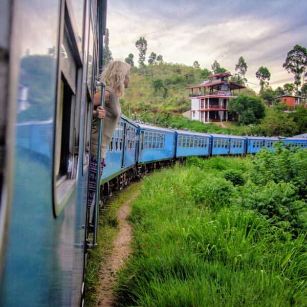Ella train